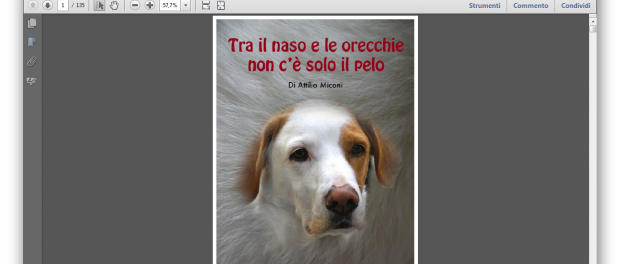 Download di libri e riviste gratis da Issuu, ecco come fare