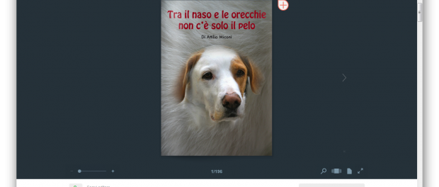 Download di libri e riviste gratis da Issuu, ecco come fare
