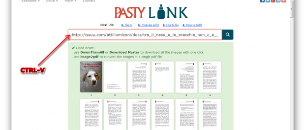 Download di libri e riviste gratis da Issuu, ecco come fare