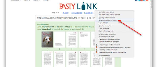 Download di libri e riviste gratis da Issuu, ecco come fare