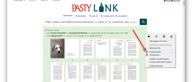 Download di libri e riviste gratis da Issuu, ecco come fare