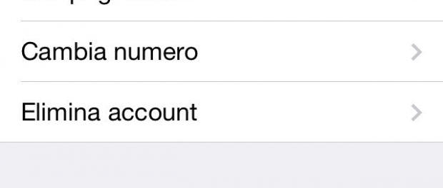 Come rendersi invisibili su Whatsapp 3