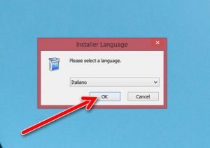 Dexpot installer language