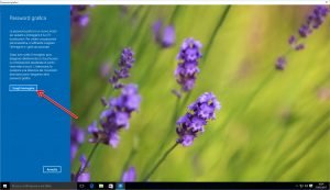 Password grafica windows 10