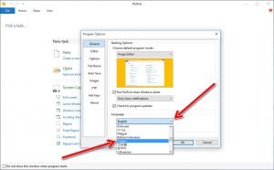 PicPick Select Language