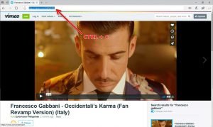 Scaricare video dal web