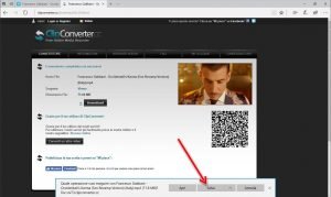 Scaricare video dal web