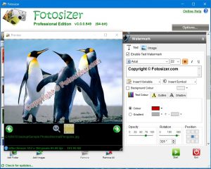 Fotosizer