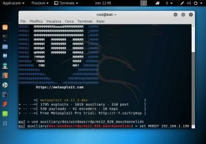 bloccare e mandare in crash un computer in rete