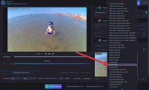 Distorsione-Ashampoo-Video-Fisheye-Removal