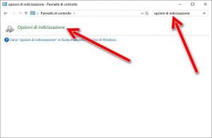 Opzioni-di-indicizzazione